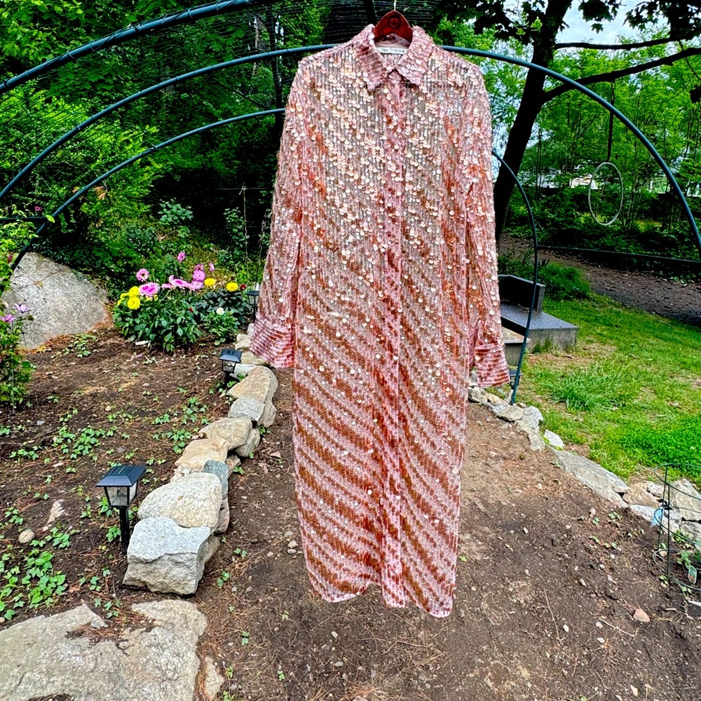 ZARA BUTTON DOWN SEQUINED SHEER DUSTER DRESS - Picture 14 of 14